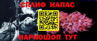 мдпв Моздок