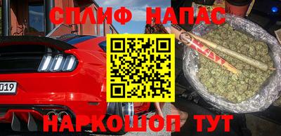 мдпв Моздок