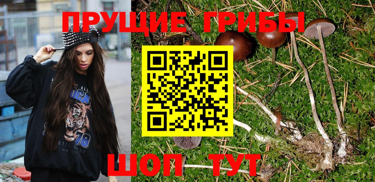 Галлюциногенные грибы Magic Shrooms  Вход с VPN  Галлюциногенные грибы Psilocybe  Дербент 